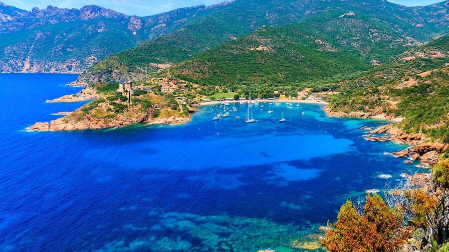 Ajaccio: Guided Scandola Nature Reserve Boat Tour - Boat Comfort, Timing, and What the 8.5 Hours Really Means