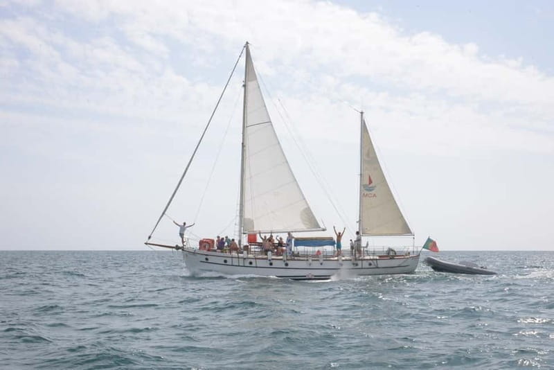 Albufeira: 6-Hour Boat Tour with BBQ and Drinks - Sailing toward Benagil: what you’ll actually see