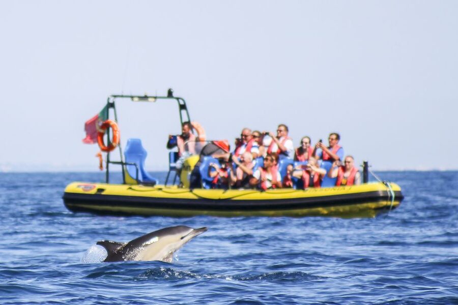 Albufeira: Benagil Caves & Dolphin Watching Speed Boat Tour - Cruising the Algarve coast: cliffs, beaches, and the 18 km scenic run