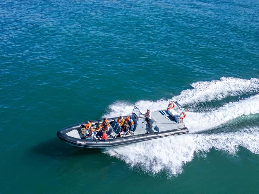 Albufeira: Dolphins, Benagil Caves and Coastline Boat Tour - From Albufeira Marina to Dolphin-Spotting Runs