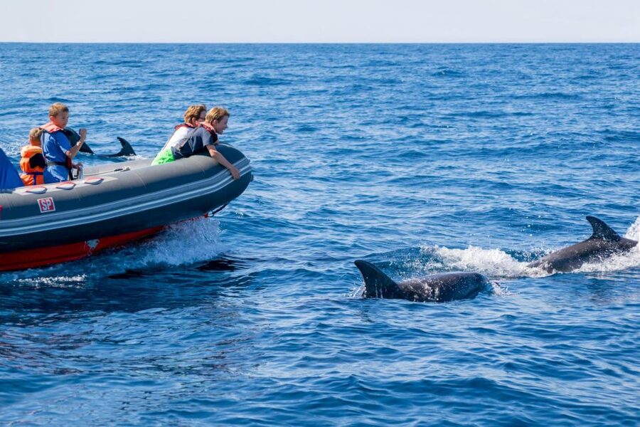 Albufeira: Dolphins, Benagil Caves and Coastline Boat Tour - Guides on board: friendly facts, real safety, and better storytelling
