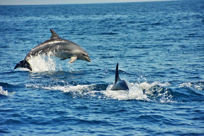 Albufeira Dreamer Boat Trip - What you get for about $42.33: real value, not wishful thinking