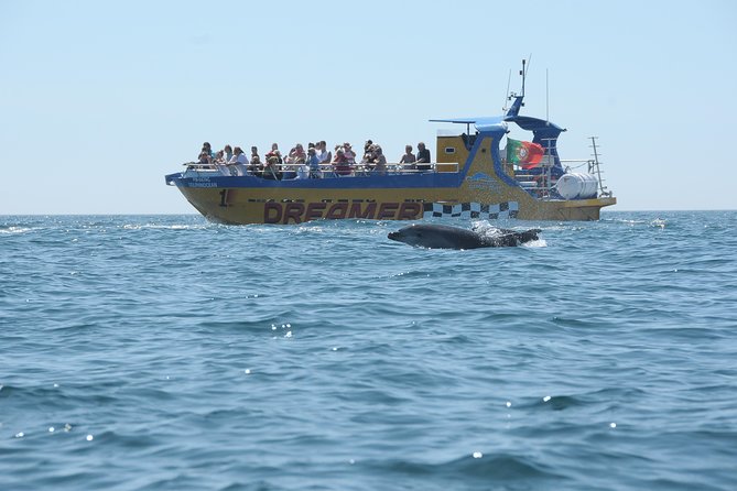 Albufeira Dreamer Boat Trip - Crew energy and on-board info: friendly, often fun, use the app