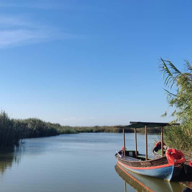 Albufera de Valencia: boat ride and visit to a barraca - Why the Albufera feels different from Valencia