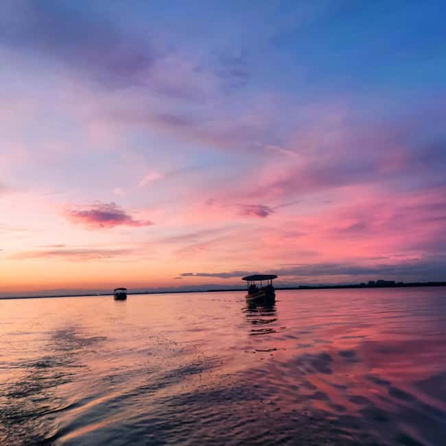 Albufera de Valencia: boat ride and visit to a barraca - Where you meet and how to reach Rosa la Barquera / Tonet
