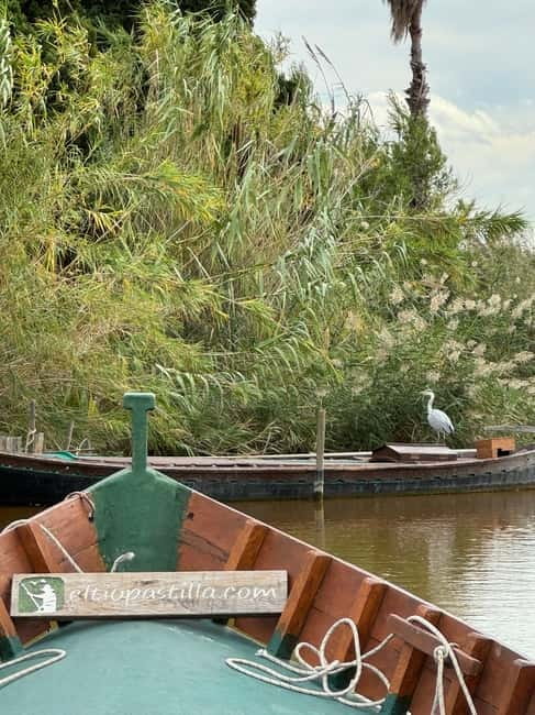 Albufera Valencia: Guided electric boat ride, also at sunset - Entering the Albufera via El Tío Pastilla Pier