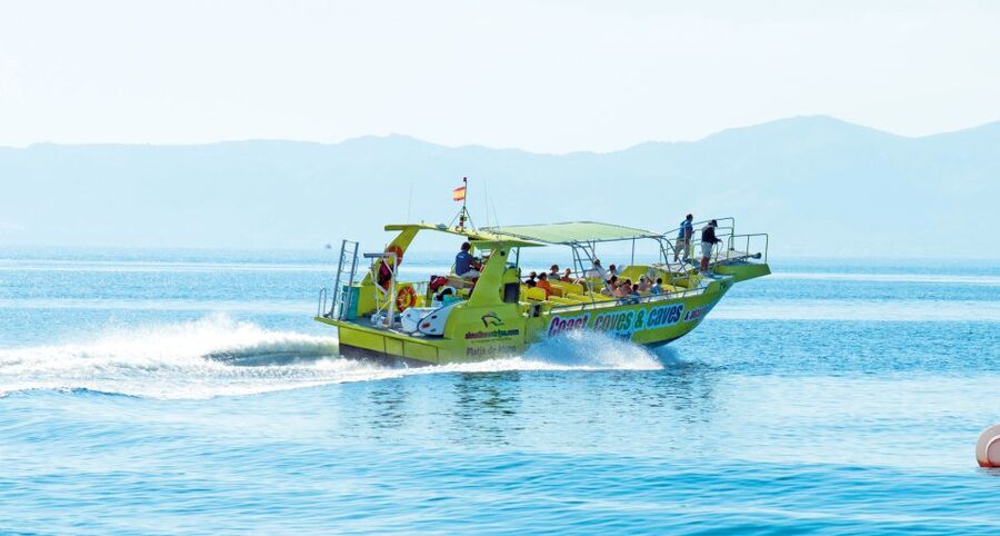 Alcudia: Caves & Coastline Boat Trip w/ Snorkelling - Cave Sightseeing: The Cool Factor (and a Wildlife Note)