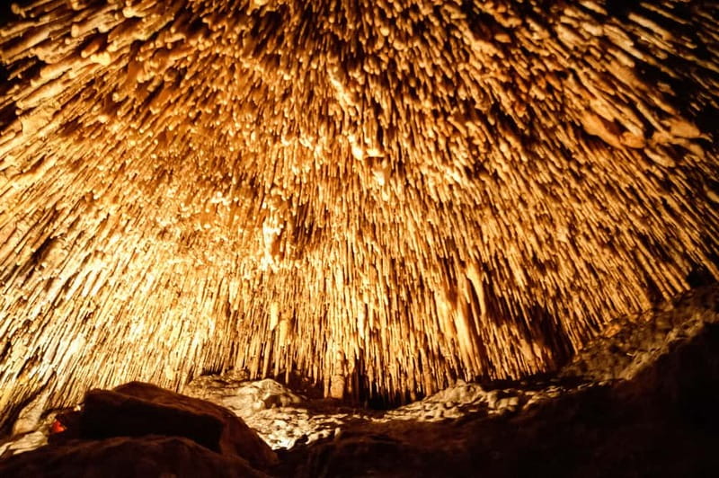 Alcudia: Caves of Drach Tour from the North with Boat Trip - The optional boat ride across Lake Martel