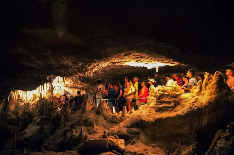 Alcudia: Caves of Drach Tour from the North with Boat Trip - Porto Cristo and the “from the north” route