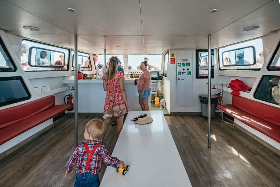 Algarve 3-Hour Caves and Coastline Boat Trip - Onboard comforts and the fly bridge upgrade (including the €10 option)