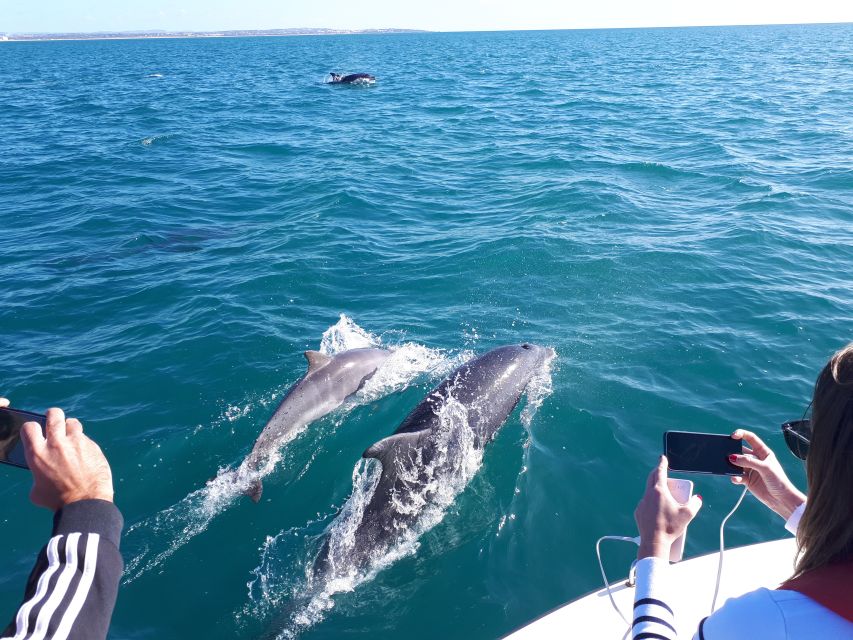 Algarve: Boat Trip to the Caves of Benagil - Starting at Clube Naval de Portimão: the Arade River warm-up