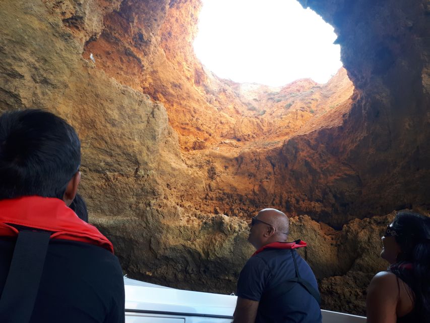 Algarve: Boat Trip to the Caves of Benagil - Dolphins: the bonus if the sea cooperates