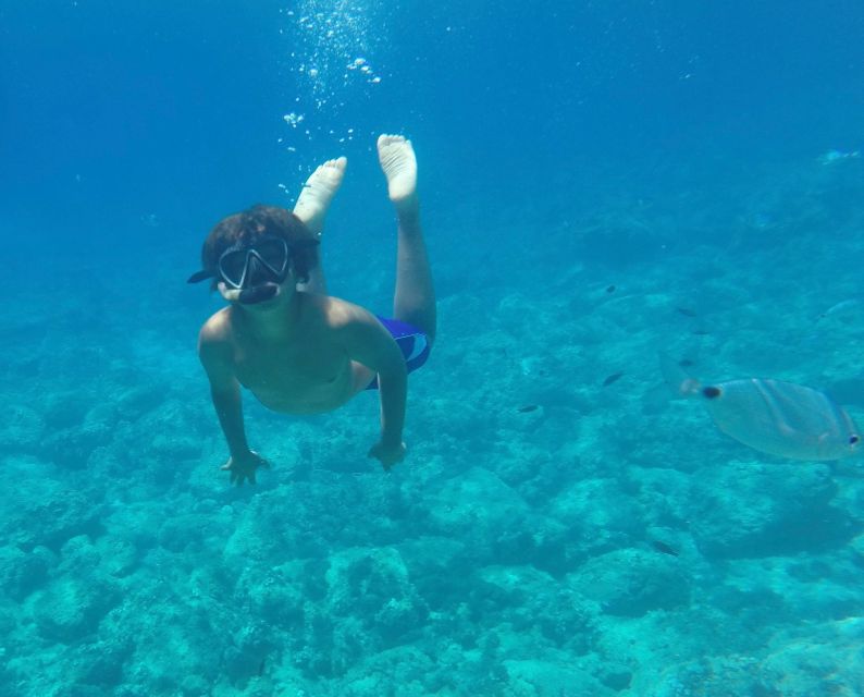 Alghero: Snorkeling Boat Tour in Porto Conte and Capo Caccia - Should you book this Alghero snorkeling boat tour?