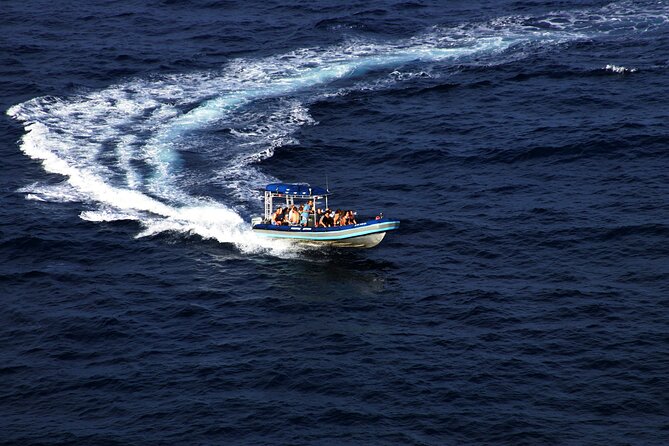 All-Inclusive 5.5 hr La Perouse Bay & Molokini Sea Cave Boat Tour - Snorkeling Plan That Actually Uses Your Day: Two Stops En Route and Multiple Molokini Sessions