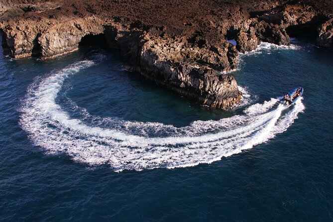 All-Inclusive 5.5 hr La Perouse Bay & Molokini Sea Cave Boat Tour - Wildlife and Seasonal Odds: Dolphins, Turtles, and Whale Watching