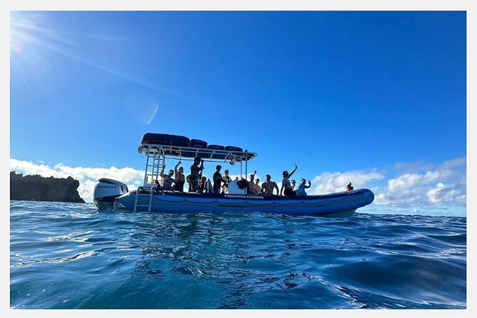 All-Inclusive 5.5 hr La Perouse Bay & Molokini Sea Cave Boat Tour - Price and Value: Is $238.50 Worth It?