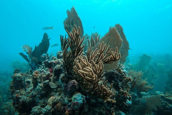 All Inclusive Beach and Snorkel Boat Tour to Icacos Island - What to bring so your day stays easy