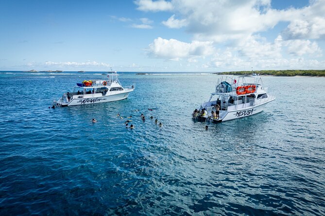 All Inclusive Snorkel and Slide Boat Tour: Icacos or Vieques - The Snorkeling Portion: Gear, Guides, and What You’ll Actually See