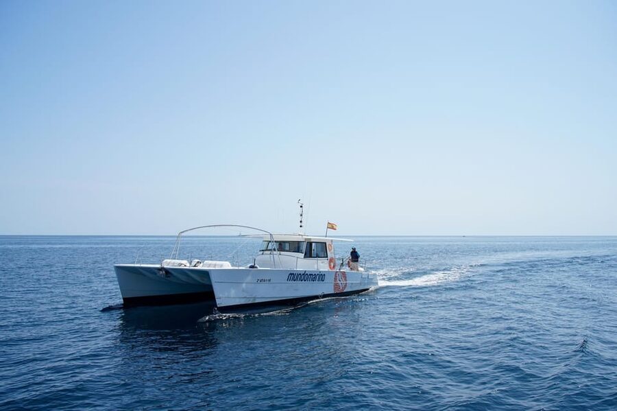 Altea: Beaches and Coves Boat Trip with Lunch - Key Highlights You’ll Feel Right Away