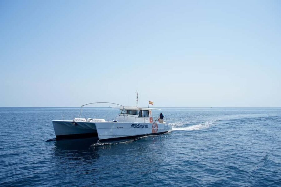 Altea: Boat Tour with Sunset Option - Onboard Experience: Crew, Comfort, and the Info Level