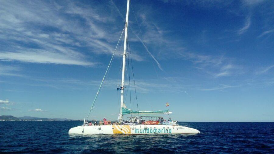 Altea: Boat Tour with Swimming Stop - What the Swimming Stop Really Means for You