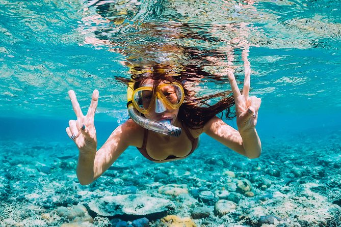 Amalfi Coast & Positano: Boat Tour with Snorkeling & Drinks - Price and Value: Why $118.51 Makes Sense for This Coast
