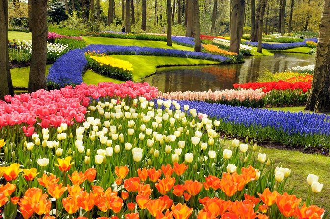 Amsterdam: Keukenhof Tulip Gardens and Giethoorn with Boat Tour - Key things to know before you go