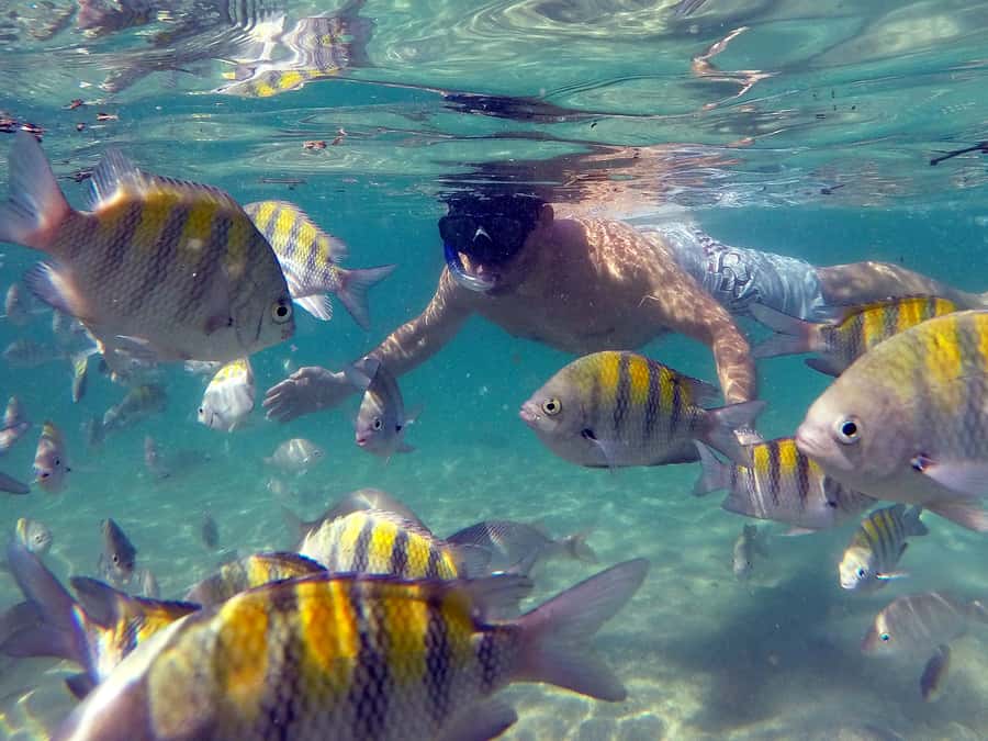 Angra dos Reis and Ilha Grande: Small-Group Fast-Boat Tour - Guides, Small-Group Energy, and the Difference It Makes