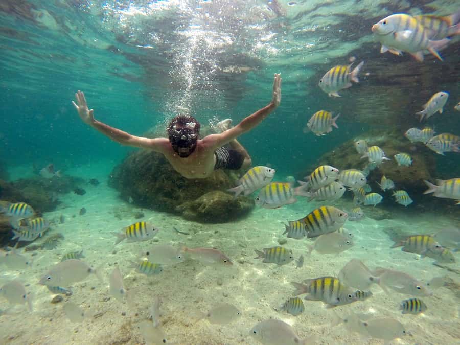 Angra dos Reis and Ilha Grande: Small-Group Fast-Boat Tour - Price Value: Is $200 a Good Deal for This Rio-to-Isla Grande Day?
