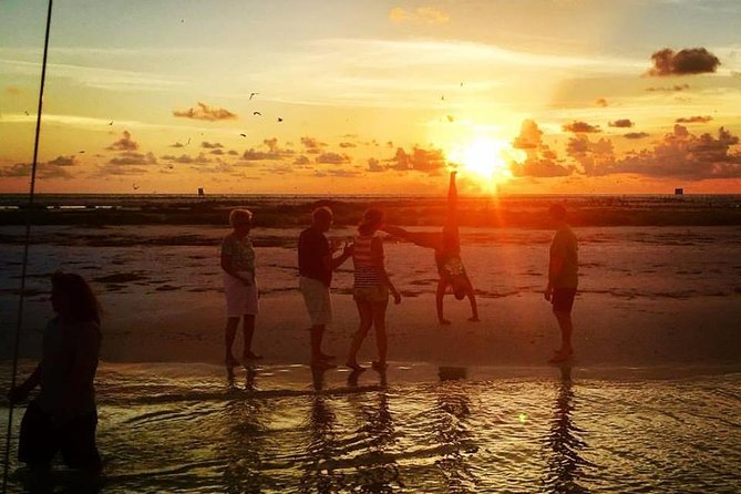 Anna Maria Island Dolphin Sunset Boat Tour - Dolphin time: what to expect when action shows up