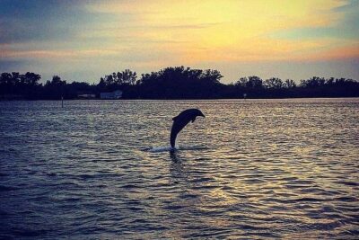 Anna Maria Island Dolphin Sunset Boat Tour - Meeting at Waterline Villas and what the first stretch feels like