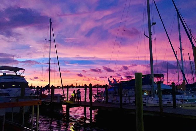 Anna Maria Island Dolphin Sunset Boat Tour - The crew factor: why captains matter on this kind of tour