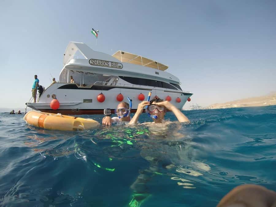 Aqaba: Red Sea Snorkeling Boat Trip with Buffet Lunch - What you might see: turtles, wrecks, and Red Sea surprises