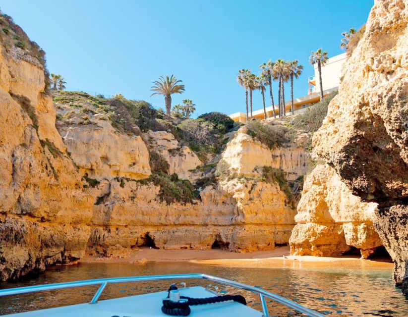Armação de Pêra: Benagil´s 15 Best Caves Boat Tour - Finding Sétima Onda Boat Trips by Pedro’s Bar