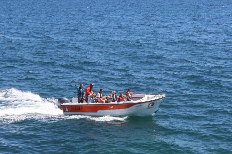 Armação de Pêra: Guided Boat Tour of Benagil's 15 Best Caves - Price and value: what $41 buys you here