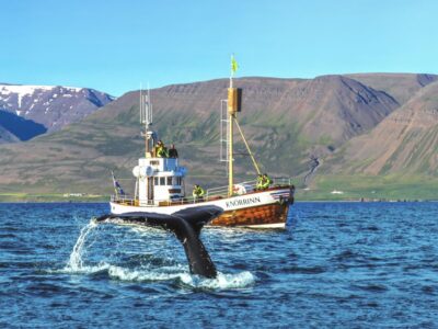 Árskógssandur: Whale-Watching Boat Trip - Traditional oak boat vibes: how the 2.5-hour cruise feels