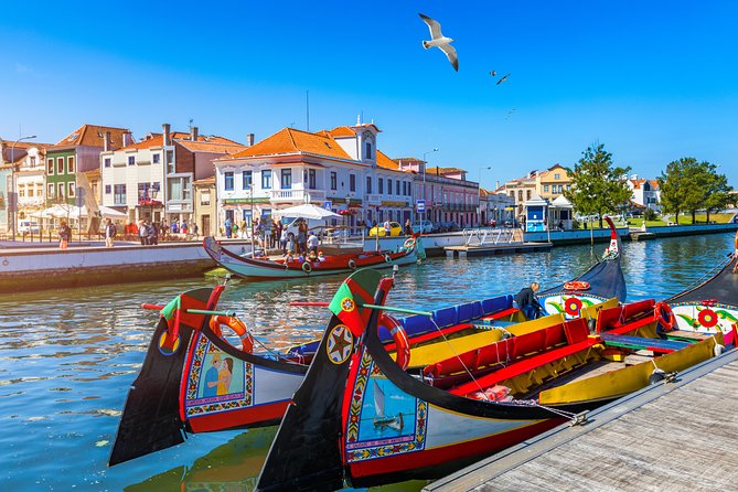 Aveiro and Costa Nova Half Day Tour from Porto with Boat Ride - Key moments that make this tour worth your time