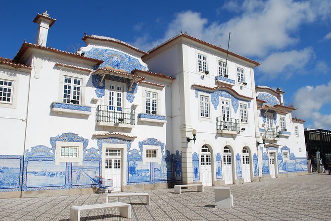 Aveiro and Costa Nova Half Day Tour from Porto with Boat Ride - Transportation and group size: when it helps, when it frustrates