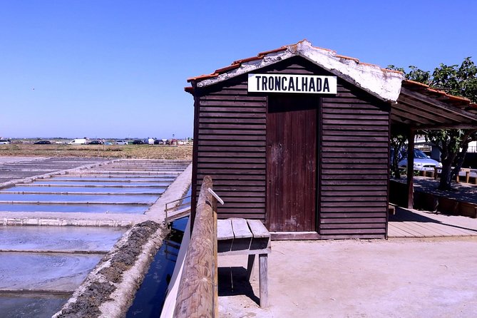 Aveiro and Costa Nova Half Day Tour from Porto with Boat Ride - Who this tour suits best (and who should look elsewhere)