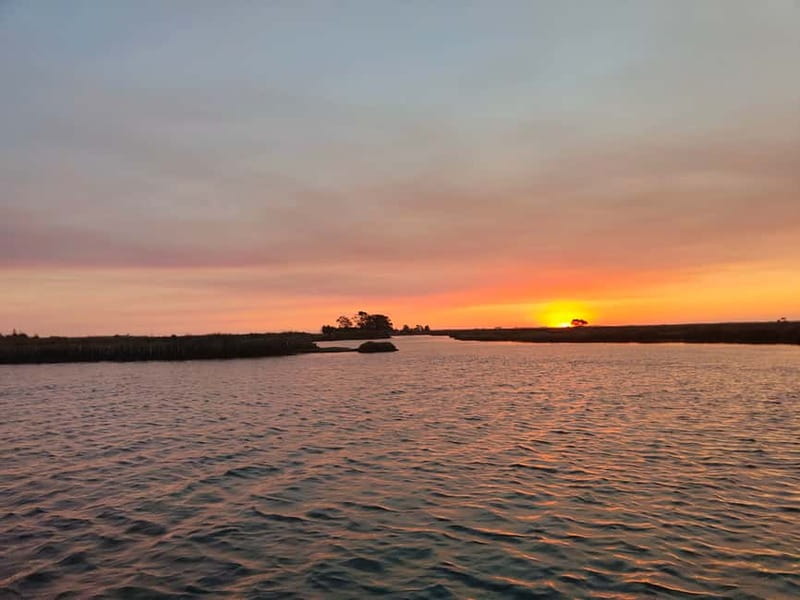 Aveiro: Ria Highlights Boat Tour - Key highlights worth your time