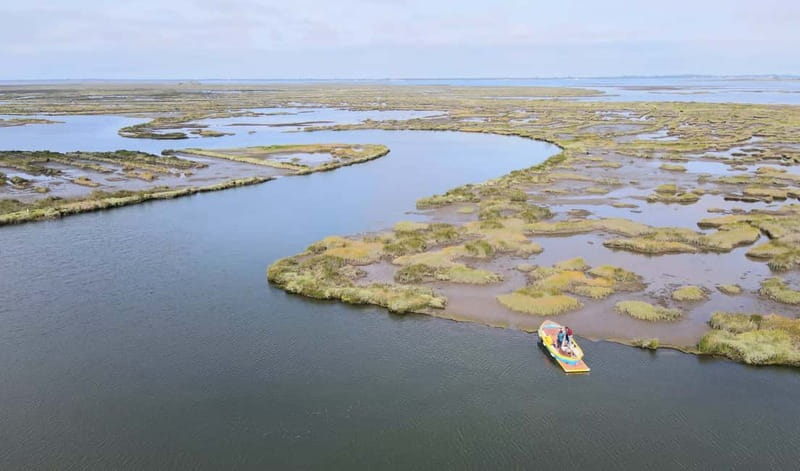 Aveiro: Ria Highlights Boat Tour - The 1.5-hour flow: from gates and channels into the lagoon