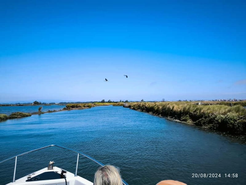 Aveiro: Ria Highlights Boat Tour - Salt pans, fishing, and the port story: what the guide actually connects for you
