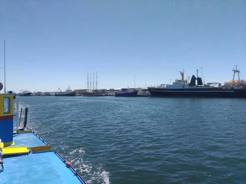 Aveiro: Ria Highlights Boat Tour - Boat comfort and included extras that genuinely help