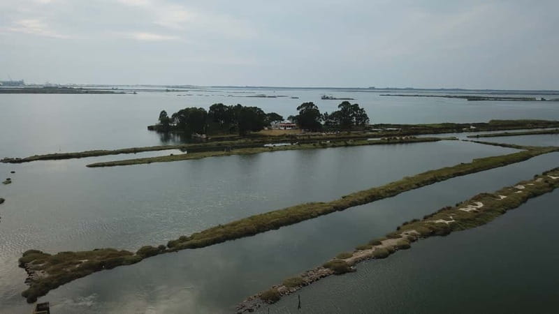 Aveiro: Ria Highlights Boat Tour - Price and value: is $35 worth your time in Aveiro?