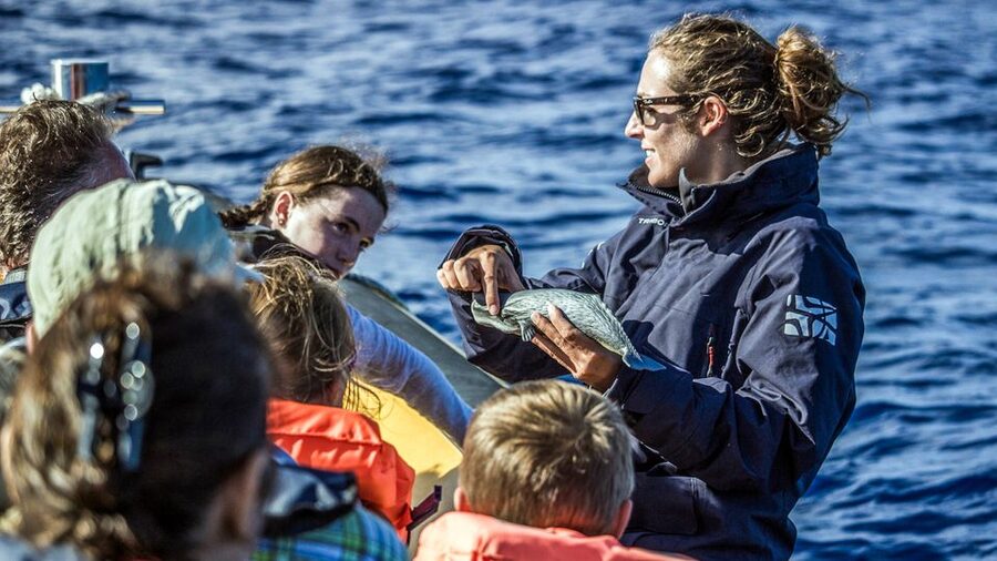 Azores Whale Watching & Islet Boat Tour - What’s included vs. what you must bring (and why it affects comfort)