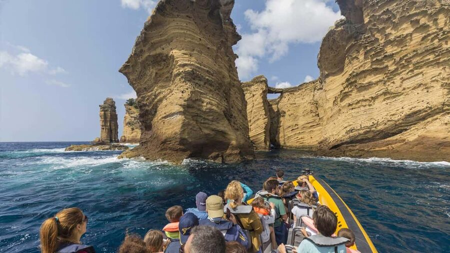 Azores: Whale Watching & Islet Boat Tour w/ Marine Biologist - The marine biologist approach: what you learn while you watch