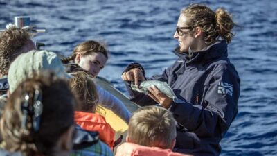 Azores: Whale Watching & Islet Boat Tour w/ Marine Biologist - From marina briefing to VHF-guided zodiac speed