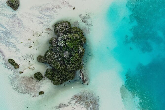 Bacalar Lagoon Sightseeing Boat Tour with Open Bar and Snacks - Lake Bacalar by boat: why this 4-hour loop makes sense