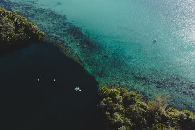 Bacalar Lagoon Sightseeing Boat Tour with Open Bar and Snacks - Cocalitos Cenote and the stromatolites: science you can actually see