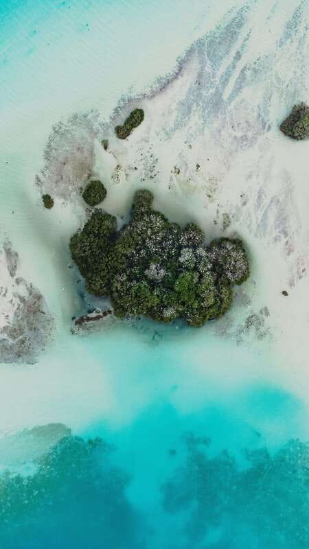 Bacalar Lagoon Sightseeing Boat Tour with Open Bar & Snack - Cenote Esmeralda: Where the Colors Get Loud
